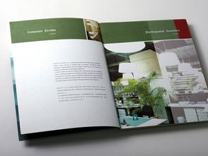廣州專業(yè)畫冊設計與軟件開發(fā) 品牌建設的雙翼